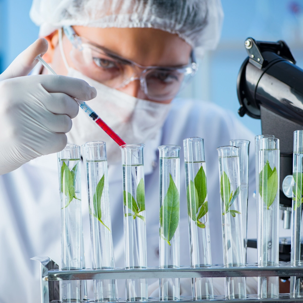 Solusi Lengkap Mesin Herbal Berstandar Modern
