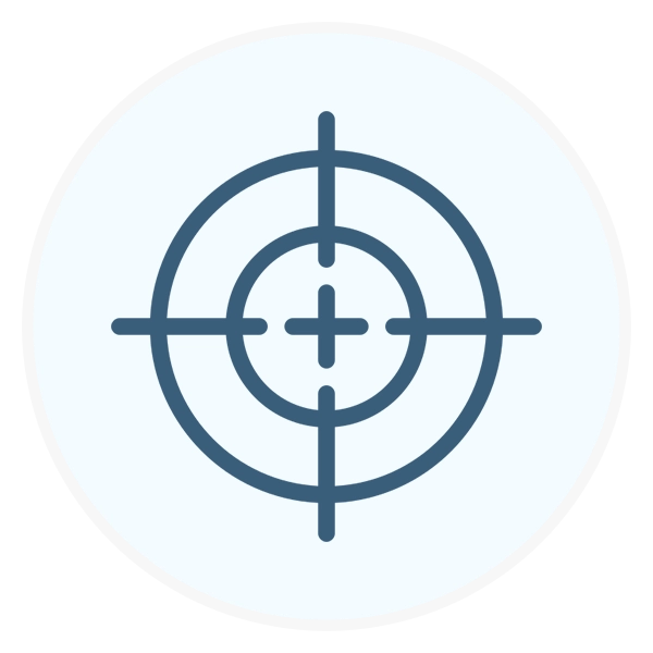 precision icon